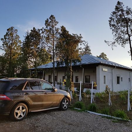 ホテル Conacul Balta Albă エクステリア 写真