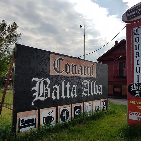 ホテル Conacul Balta Albă エクステリア 写真