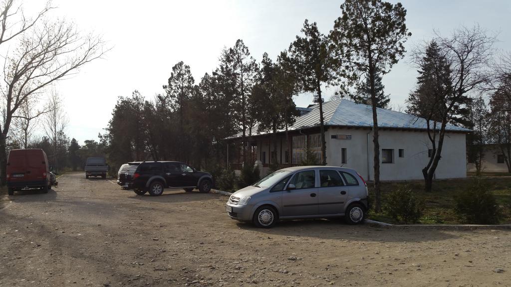 ホテル Conacul Balta Albă エクステリア 写真